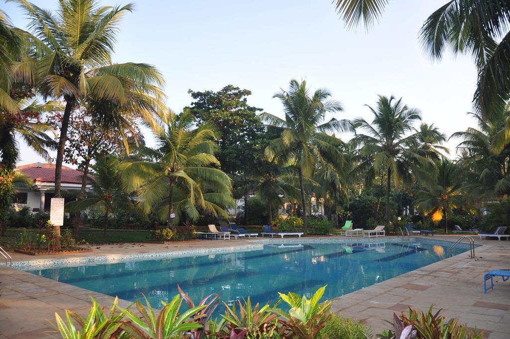 Tobias Villas กาเวลอสซิม ภายนอก รูปภาพ